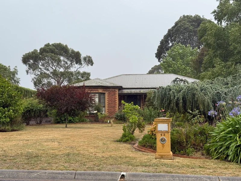 Property with brown lawn